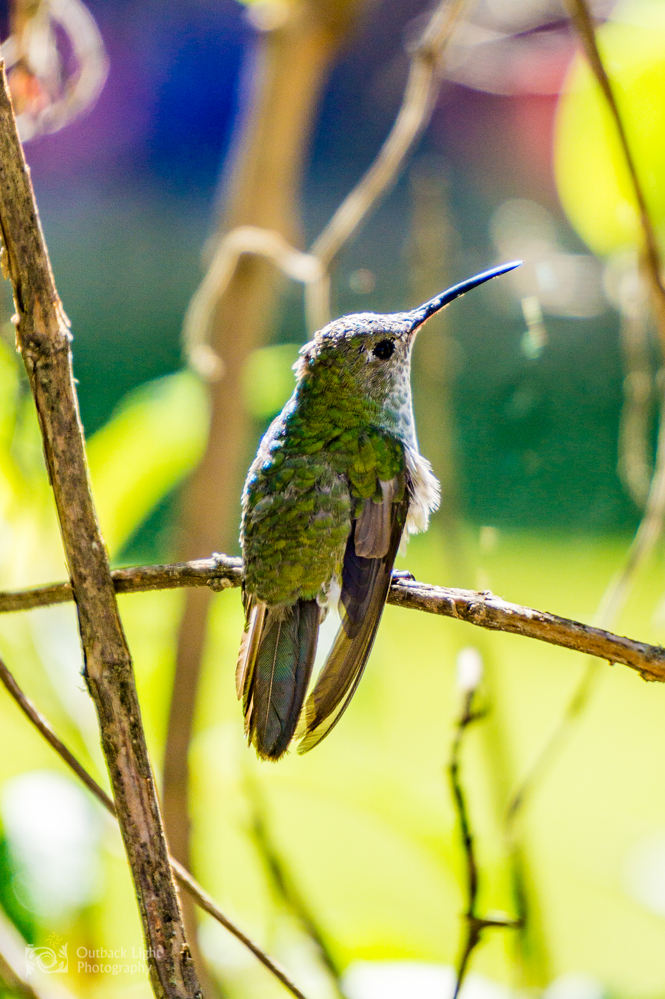 Peru 2016 A6000 7214