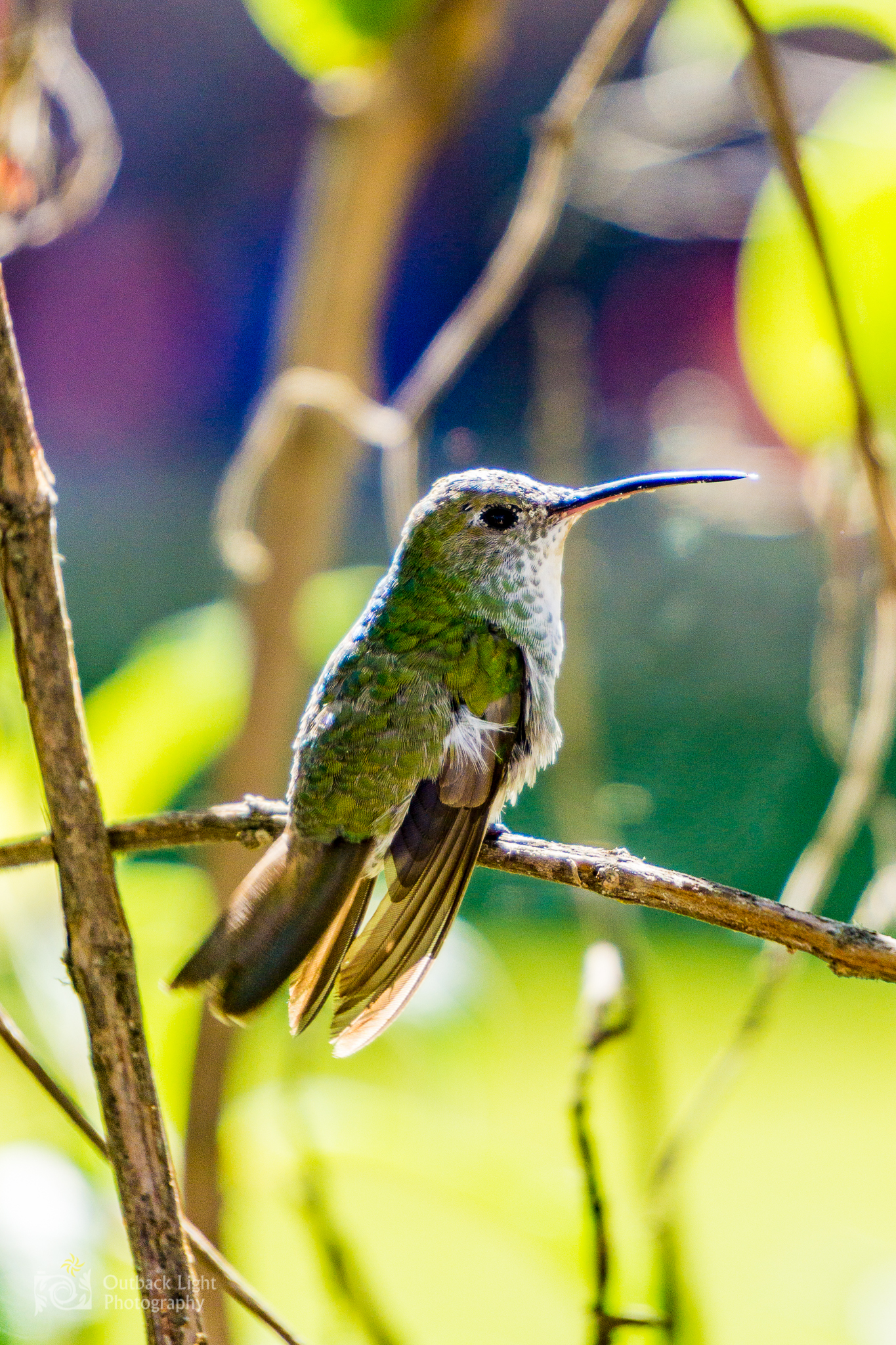 Peru 2016 A6000 7216