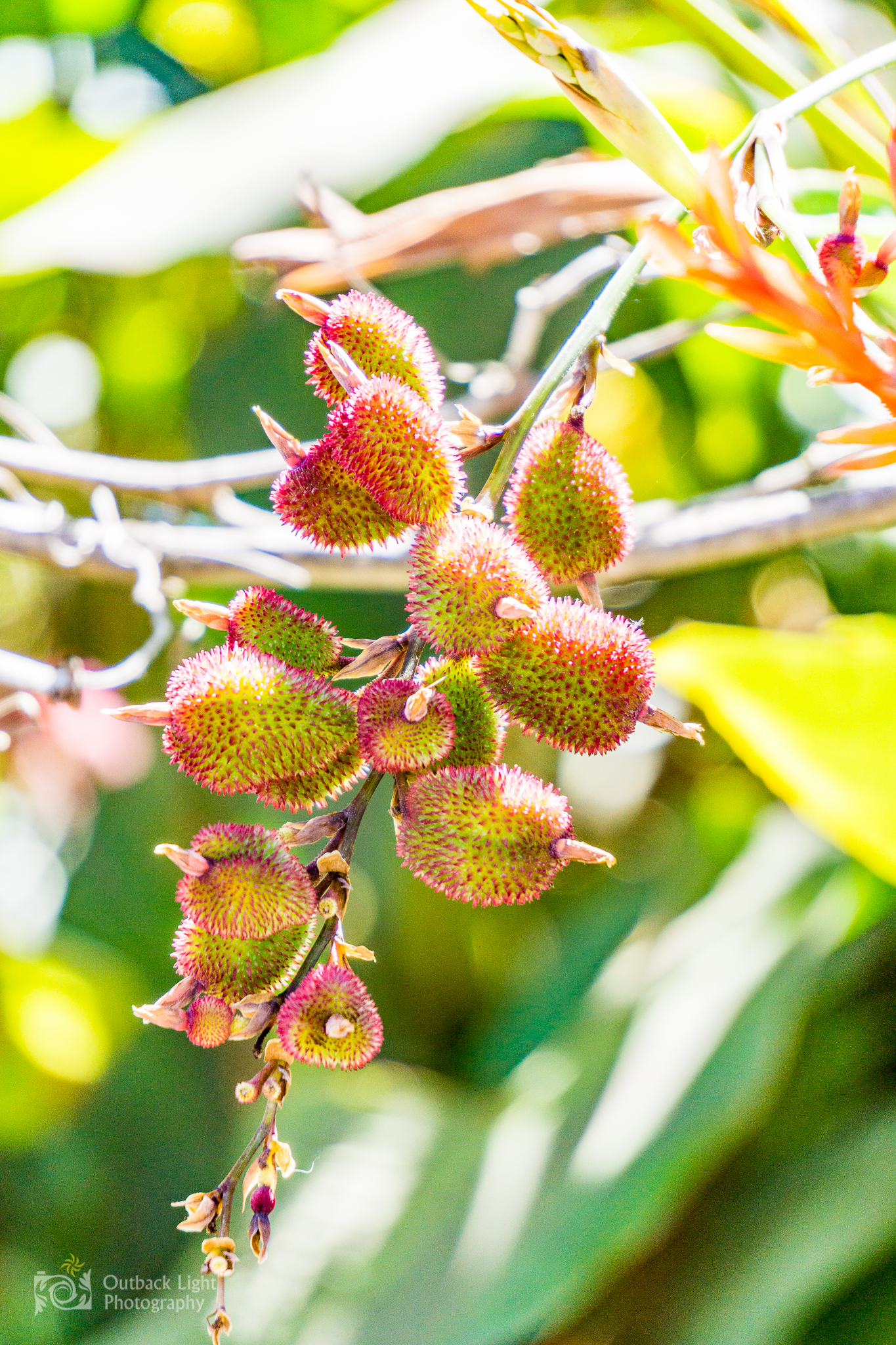 Peru 2016 A6000 7219