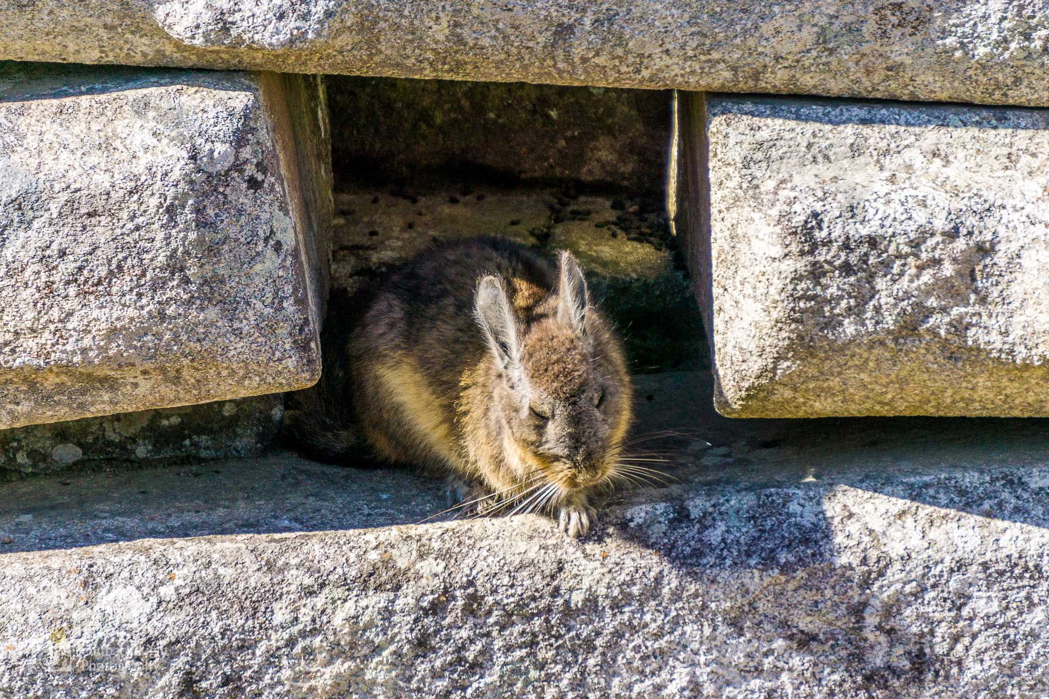 Peru 2016 A6000 7224