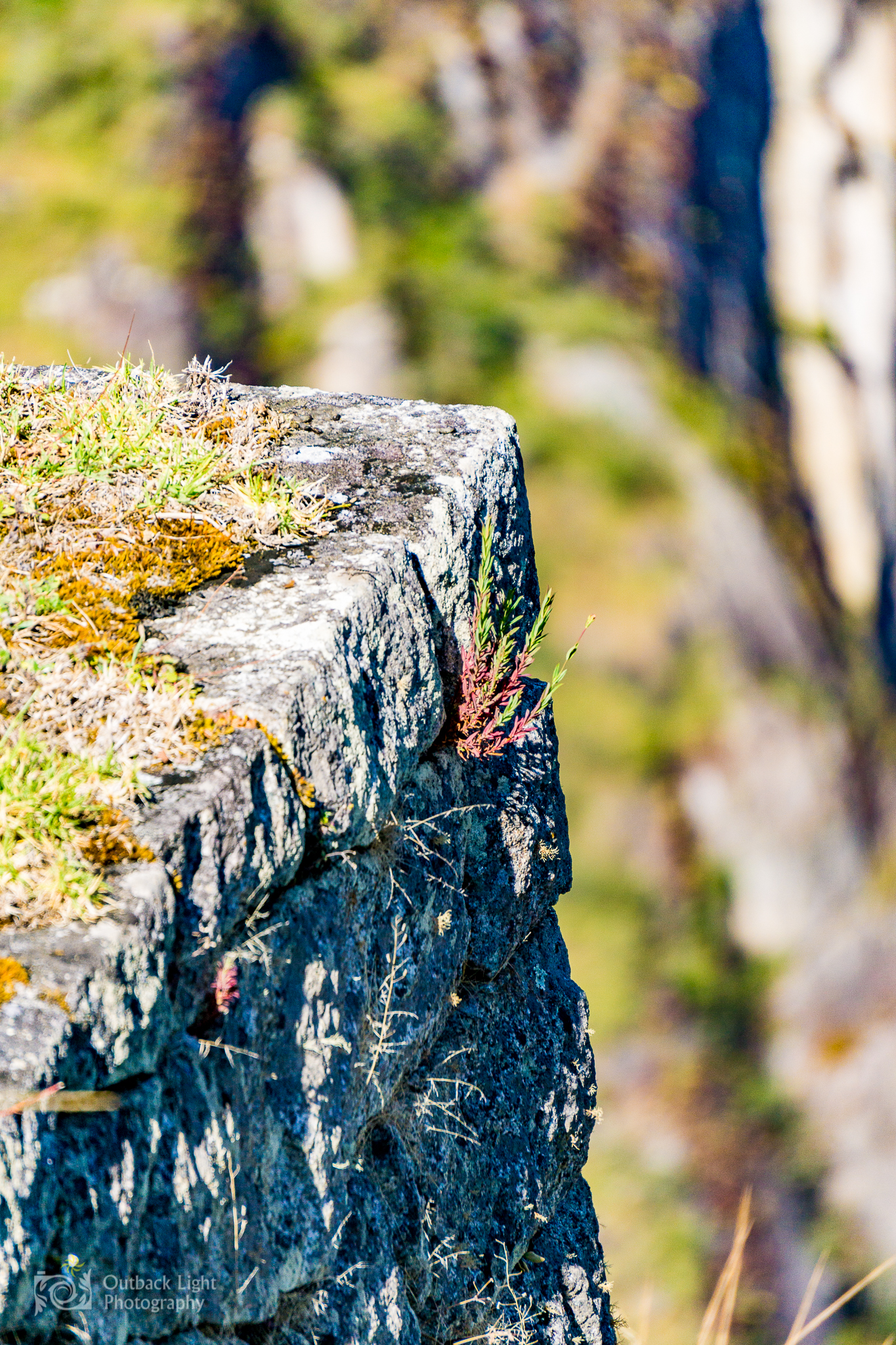 Peru 2016 A6000 7228