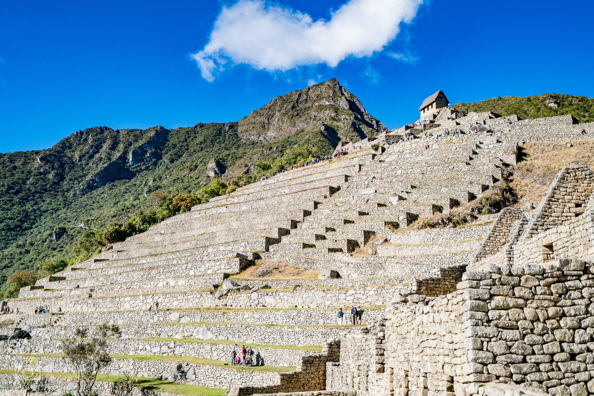 Peru 2016 A7RII 5254